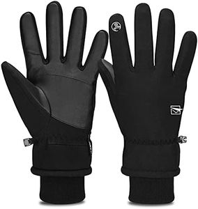 TOLEMI Winter Gloves, -20℉ Waterproof Ski Gloves 3M Thermal Gloves Touchscreen Gloves Snowboarding Insulated Gloves for Cycling Running Climbing Hiking Outdoor Sports(Black, M)