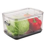 Prepworks from Progressive PKS-900 Produce Keeper, Plastic, Clear,Transparent,5.7 quart