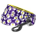 Blueberry Pet 2 Patterns Loving Daisy Prints Dog Leash with Soft & Comfortable Handle, 5 ft x 3/4", Medium, Leashes for Dogs