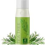 Maple Holistics Pure Tea Tree Oil S