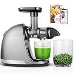 AMZCHEF Juicer Machines - Cold Press Slow Juicer - Masticating Juicer for Whole Fruits and Vegetables - Delicate Chew No Need to Filter - BPA Free Juice Extractor with 2 Cups and Brush - Grey