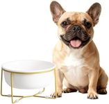 Elevated Ceramic Dog Bowl with Metal Stand - Raised Feeding Dish for Small and Medium Dogs - Ideal for Food or Water - Each Holds 600ml / 3.2 Cups (Approx. 320g) - White