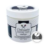 Colorantic | CLEAR Matte Top Coat Matte Varnish for Wood Sealer – Non-Yellowing Protective Furniture Finish for DIY Home Decor Paint | Water-Based No VOC Eco-Friendly (16 oz)