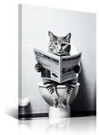 Framed Bathroom Decor Wall Art, Cat Read Newspaper in Bathtub, Black and White Wall Art, Funny Bathroom Wall Decor Signs, Cute Animal Art for Bathroom (Framed,12''x16'')