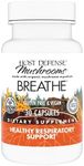 Host Defense Breathe* Capsules - Immune & Respiratory Support Mushroom Supplement - Herbal Lung Health Supplement with Chaga, Reishi & Cordyceps - 30 Capsules (15 Servings)*