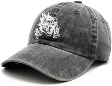 Waldeal Cute Boys' Dinosaur Hat, Adjustable Embroidered Washed Dad Hat Kids Ballcap-Black 2