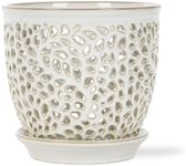 Mama Cozy Life Elegant Orchid Pot w