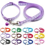 Doggie Style Store Small Dog Puppy Pet Cat Kitten Collar and Lead Set Pawprint Design Nylon Adjustable with Bell Leash Lilac Violet Light Purple