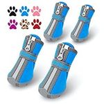 QUMY Dog Shoes for Small Dogs, Pupp
