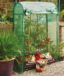 Tomato Greenhouse