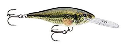 Largemouth Bass Lures