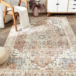 jinchan Area Rug 5x7 Washable Rug V