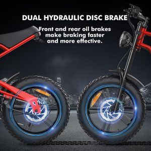 Hidoes B6 Fat Tire Electric Bike – All-Terrain E-Bike for Adults