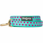 Blueberry Pet Valentine Velvety Heart Flocking Dog Leash in Minty Green, 4 ft x 1", Large, Leashes for Dogs