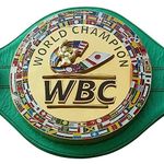 New WBC Championship Boxing Belt Real Leather Adult Size Hiqh Quality Replica