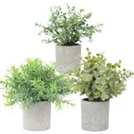 Ninonly 3 Pack Small Fake Plants, Eucalyptus Potted Artificial Plants, Mini Faux Plants Decor for Home Table Bathroom Office Farmhouse Room Shelf Decoration