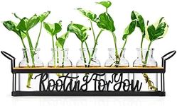 THYGIFTREE Plant Propagation Statio
