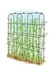 SUMGROW Garden Trellis for Climbing Plants Outdoor, 6 ft Tall, Cucumber Trellis for Vines Beans Vegetables Raised Bed - Lightweight Metal, Black