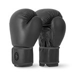 Lions Boxing Gloves MMA Punch Bag Training Mitts 6oz, 8oz, 10oz, 14oz, 16oz, Black, Pink, Red (Black, 8 oz)