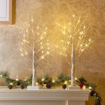 PEIDUO Christmas Decorations Indoor