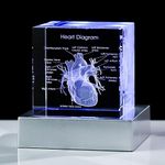 Movdyka 3D Human Heart Model Doctor Gifts for Men 3D Laser Etched Crystal Anatomical Heart Figurine Glass Paperweight Science Biology Medial Surgeon Gifts with Colorful LED Base