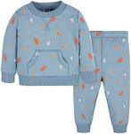 Gerber Baby Boys Toddler 2-Piece Fl