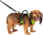 PetSafe EasySport Dog Harness – Adjustable, Padded Dog Harness with Control Handle and Reflective Piping – Extra Small, Apple Green