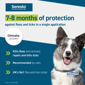 Seresto Cat Flea & Tick Collar – Long-Lasting Protection