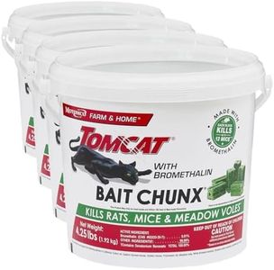 Tomcat wit