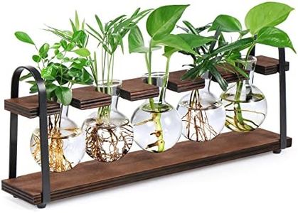 THYGIFTREE Plant Propagation Stations with Wooden Stand, Desktop Retro Plant Terrarium Bulb Vase for Indoor Hydroponic Flowers, Tabletop Glass Planter Housewarming Gifts for Plant Lovers