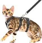 Cat Harness for Walking, Escape Proof Cat Harness and Leash Set with Reflective Strip, Adjustable Cat Leash Breathable Soft Vest for Small to Large Cats, BlackGrey, M