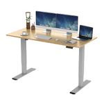 FLEXISPOT Bamboo Standing Desk Electric Office Desk Height Adjustable Desk Sit Stand Desk Stand Up Desk with Memory Smart Pannel(Silver Frame+140x70cm Bamboo Top)