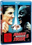 THE KING OF THE KICKBOXERS (1990) - [Region B Import / English Audio] - Loren Avedon, Richard Jaeckel, Don Stroud, Billy Blanks