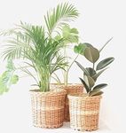 Indiana Crafts Cane Wicker Flower Pots for Indoor Outdoor Garden Patio Terrace Balcony Storage Baskets (Pack of 3)