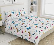 Haus & Kinder Bedsheet,100% Cotton Double Bed Bed Sheet, 186 TC Pure Cotton Bedsheet for Queen Size Bed, Cotton Double Bedsheets with 2 Pillow Covers,French Riviera