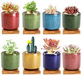 Lawei 8 Pack 6.4cm Ceramic Ice Crack Succulent Plant Pot with Bamboo Tray - Cactus Plant Pot Flower Pot Container Planter for Home Garden Office Decoration(Plants NOT Included)