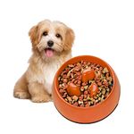 Flexzion Slow Feeder Dog Bowl Interactive Dog Puzzle Bowl, Anti-Choke, Non-Slip Slow Eating Dog Bowl Fun Pet Feeder Anti-Bloat Maze Bowl Dishwasher Safe Easy to Clean - 300ML (1.5 Cups/10 oz) Orange