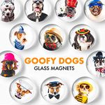 Fridge Magnets – Glass Decorative Magnets for Fridge – Succulent Refrigerator Magnets for Whiteboard, Kitchen and Office – Funny Inspirational Locker Magnets for Boys and Girls