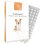 Healthspan Multivitamin for Dogs (240 Tablets) | A Gold Standard Multivitamin for Every Stage in Life | 18 Essential Vitamins & Minerals | Vitamins A, B, C, D & E | Magnesium & Zinc | Beef Flavoured