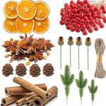 YY-JUNYING 225Pcs Christmas Wreath Making Supplies, Dried Orange Slices and Cinnamon Sticks And star anise,Artificial Pine Branches Artificial Berries for Christmas Wreath Craft Party Decor