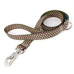 Buttonsmith Rainbow Hexes Dog Leash, 5 ft Length, Large Width Fadeproof Permanently Bonded Printing, Extra Heavy Duty Quick Clasp, Resistant to Odors & Mildew