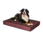 Urban Yogi Memory Foam Dog Bed - 1 Year Warranty - Orthopedic Dog Bed with Removable Washable Cover, Pet Bed, Cat Bed, Bed for Dog, Cat Sleeping Bed (Orthopedic, Brown, Large)