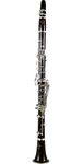 Buffet Crampon R13 Greenline A Clarinet