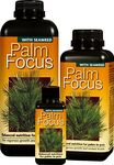 Palm Focus 1 Litre & Free pippet Growth Technology