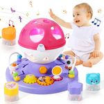 Baby Toys 18 Months, Baby Musical Light Up Toys, Montessori Toys Sensory Shape Sorter Toys for 1 Year Old Girls, Early Learning Toys Baby Christmas Birthday Gifts