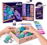 Okto Art Kit Tenderness | Succulents Art Set 3D for Home Wall Decor | Craft Kits for Adults UK and Teenagers | Craft Box with Modeling Clay for Succulents | Hobby Kits Succulent DIY Art Gift Kits
