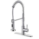 RICINUN Kitchen Faucet with Pull Do