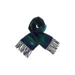 Clans of Scotland - 100% Pure Lambswool Scottish Clan Tartan Scarf - 100% Wool - Pure Wool Tartan Scarf - In Various Tartans - Perfect for Men and Women - 12x60 Inches - Johnstone