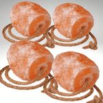 Himalayan Salt Lick Supplement Suitable For Horses Livestock Cattle Other Animals 1 KG Salt Lick with rope From Punjab Pakistan (Pack of 4 Licks)