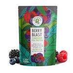 GREEN PROTEIN Pea Protein Isolate Powder, Vegan Plant Protein, No Added Sugar, 100% Vegan, Soy Free, Dairy Free, Gluten Free, Allergen Free, Berry Blast Flavor, 15g Protein Per Serving, Pouch (1kg)